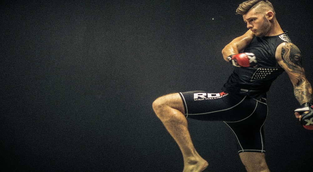 muscle building diet