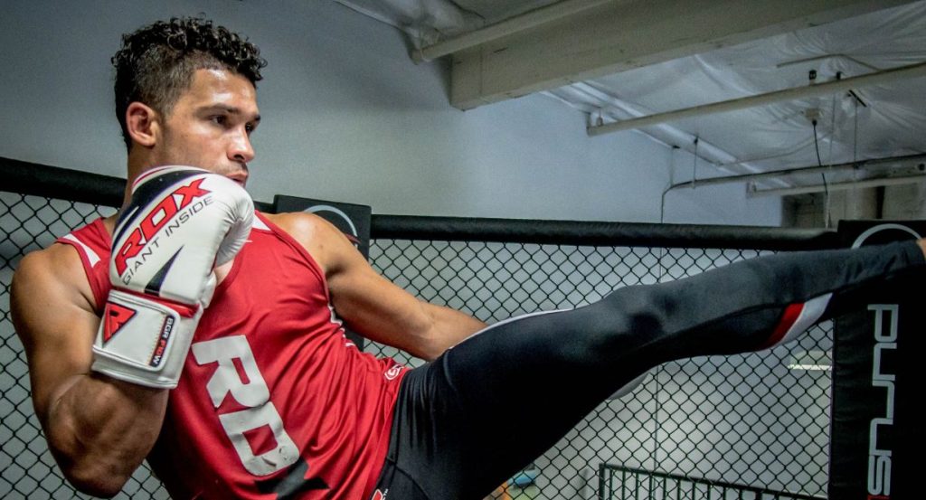 5 Habits of Successful Fighters successful fighters