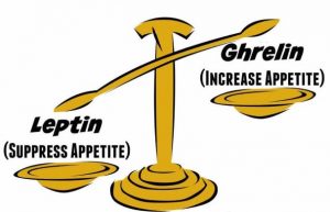 Hunger hormones