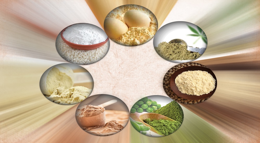 Which Protein Powder Is Best For You?