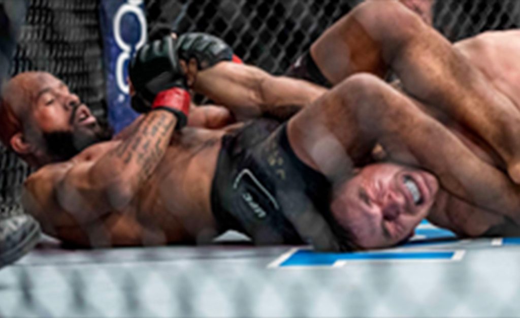 Demetrious Johnson tap Ray Borg