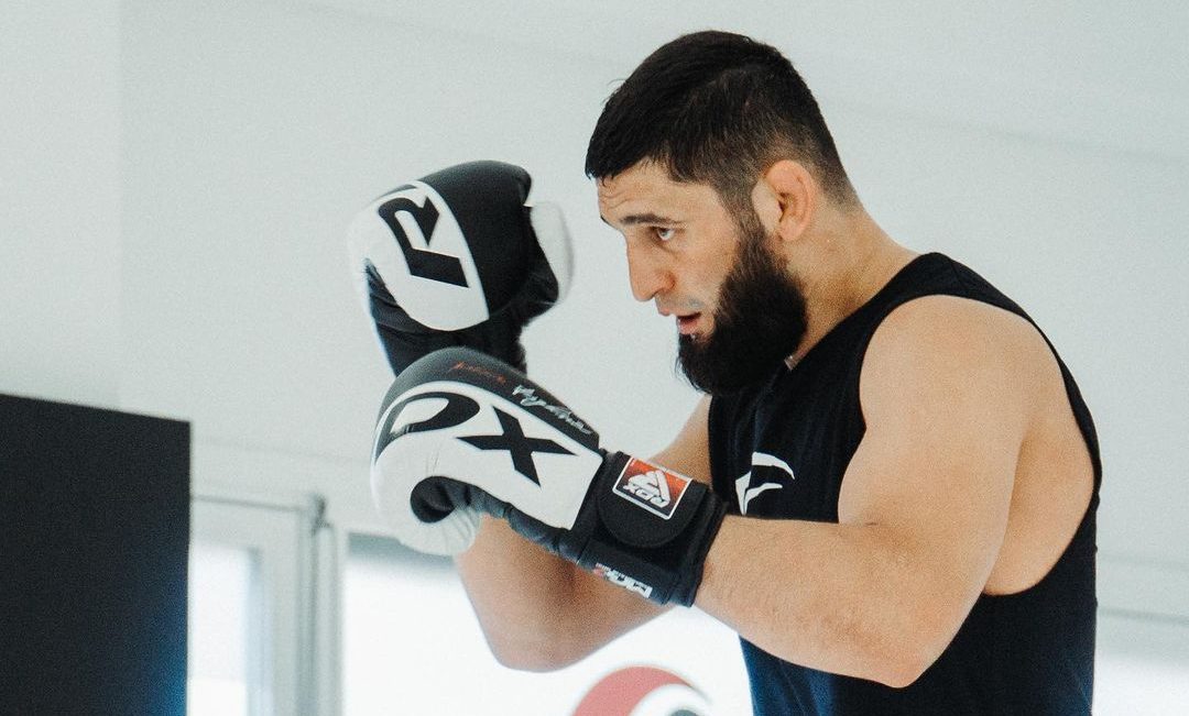 Khamzat Chimaev Wearing RDX S4 BOXING SPARRING GLOVES
