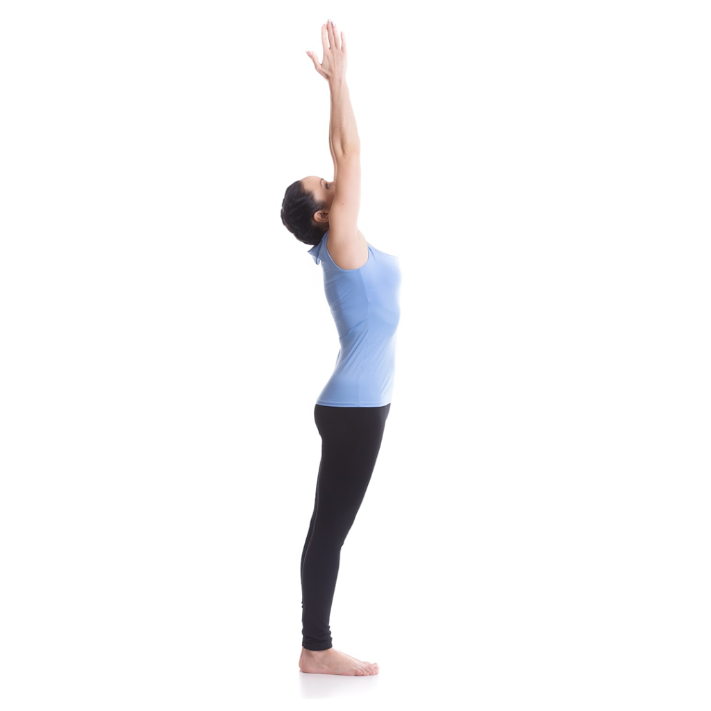 Raised Hands (Urdhva Hastasana) RDX Sports Raised Hands (Urdhva Hastasana) RDX Sports