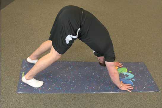 Downward Facing Dog (Adho Mukha Shvanasana) RDX Sports Downward Facing Dog (Adho Mukha Shvanasana) RDX Sports