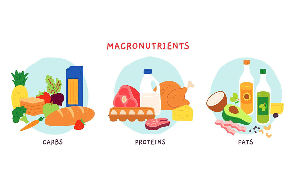Calculate Your Caloric Needs