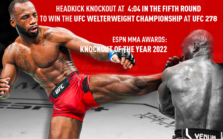 Leon Edwards Stats 2