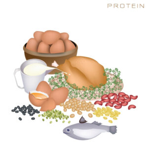 ketogenic experience