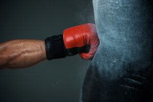 Types of Sparring Gloves