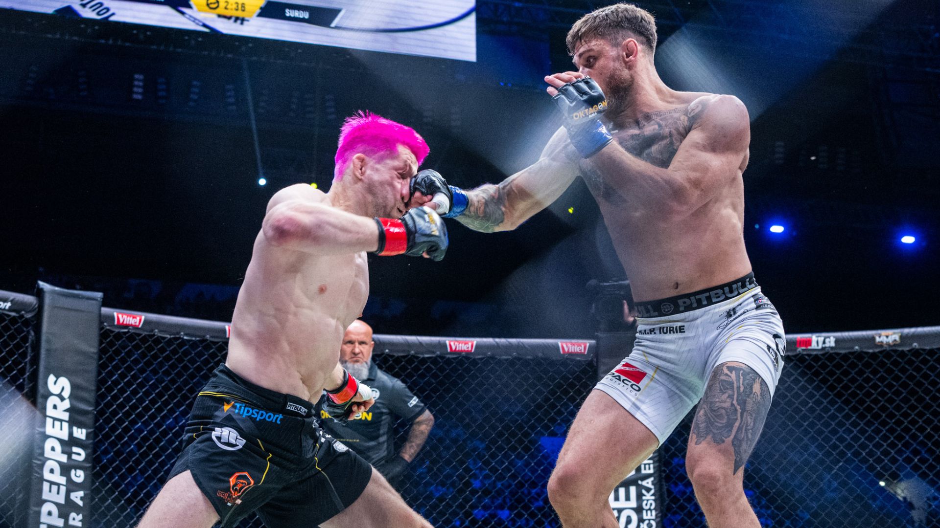 Ion Surdu vs. David Kozma