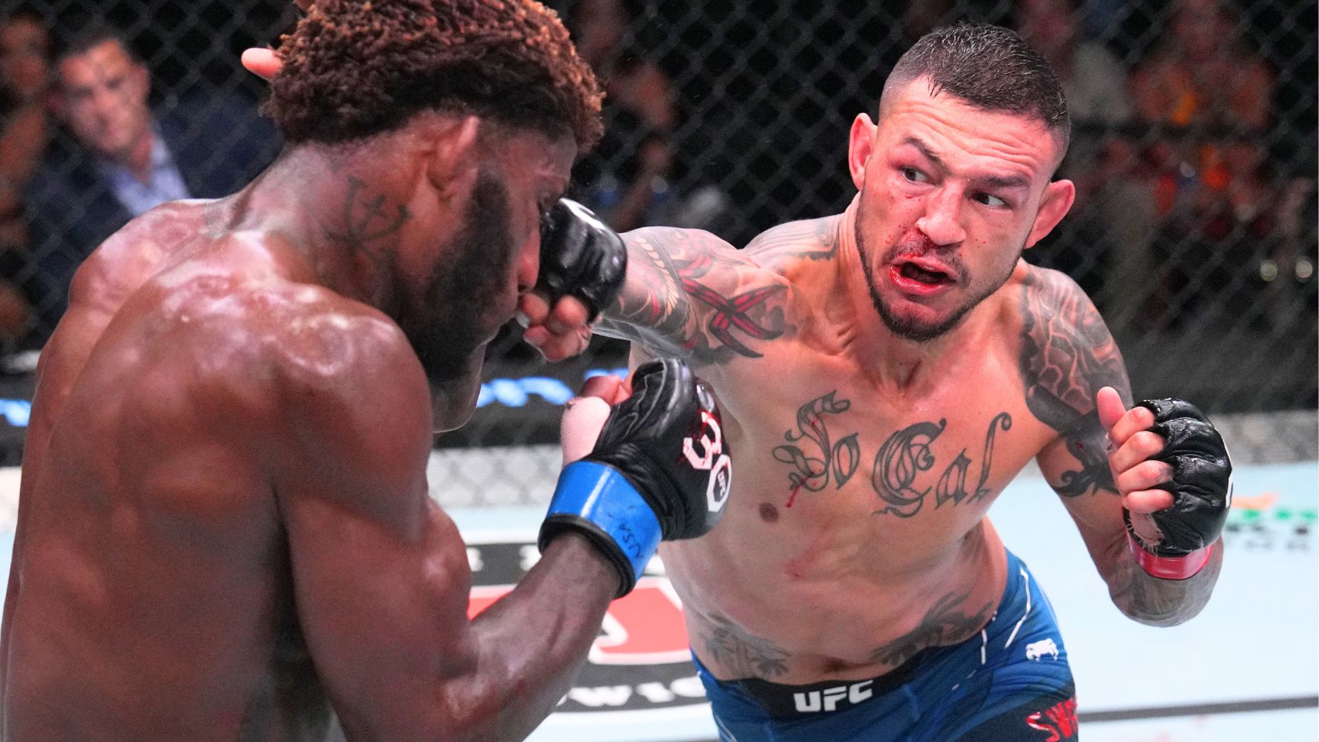 Cub Swanson