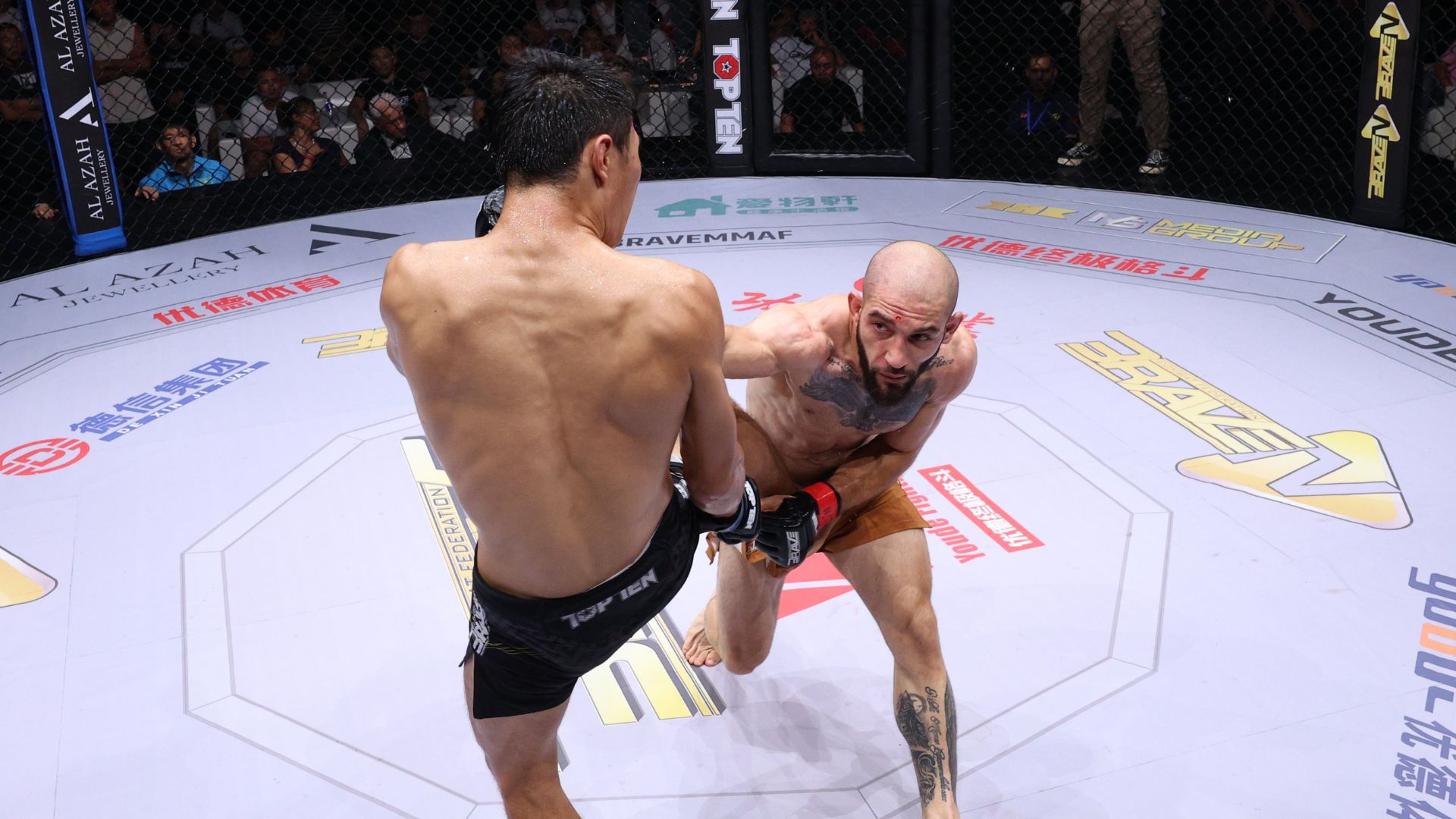 Bidzina Gavashelishvili