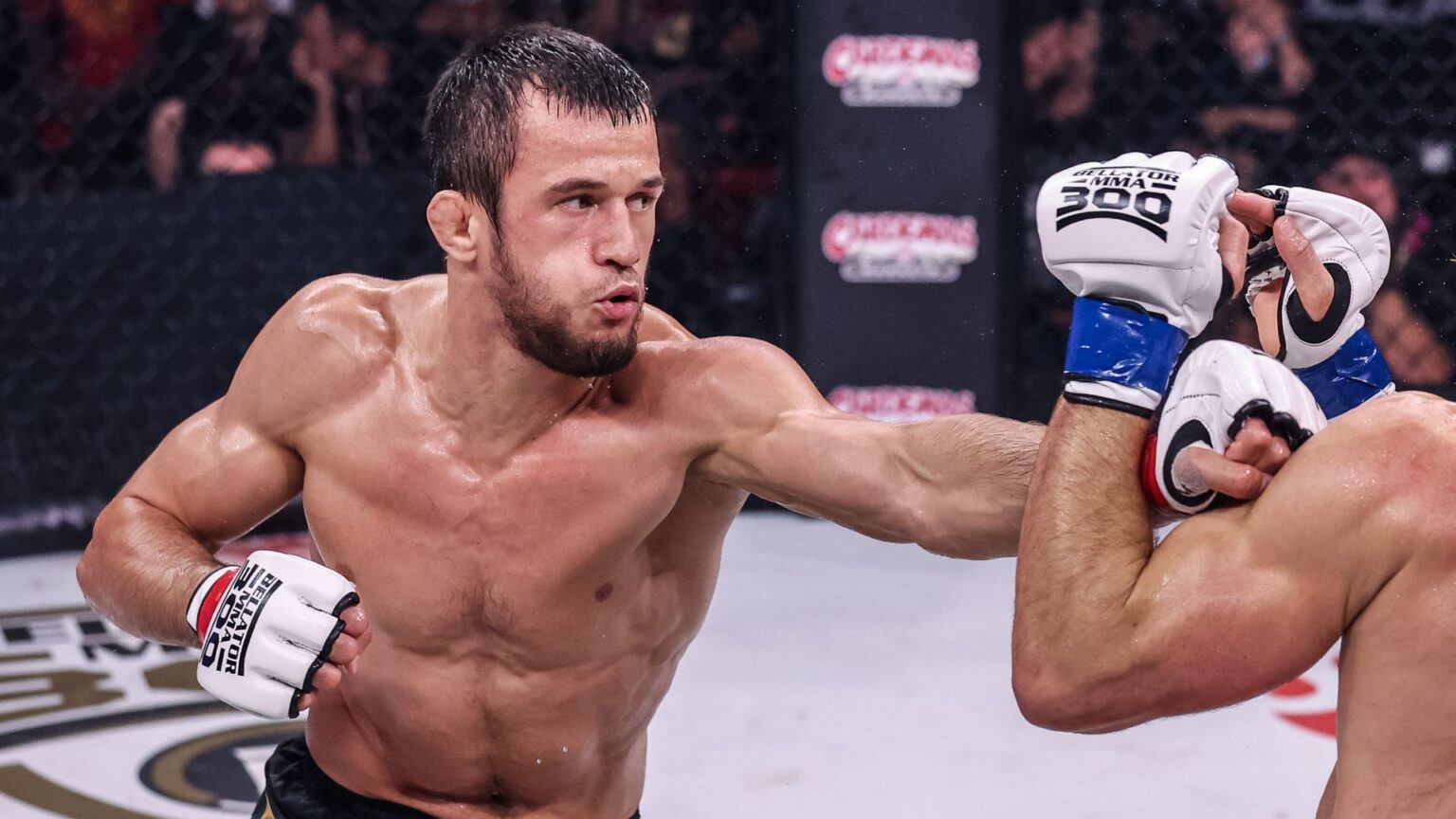 Full card confirmed for Bellator Champions Series: San Diego, with lightweight title headliner Usman Nurmagomedov