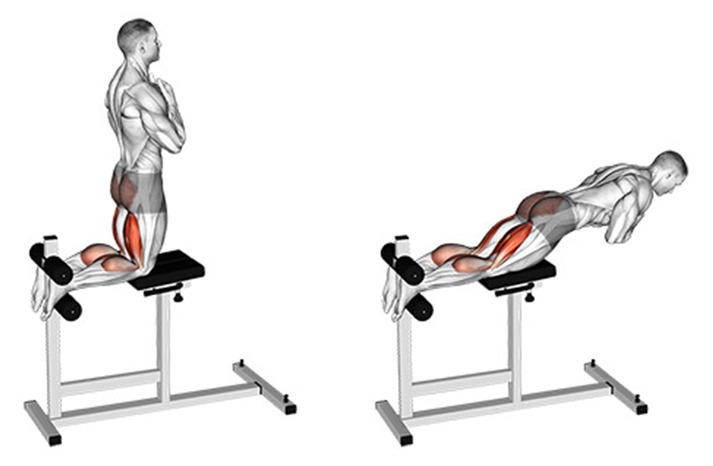 Glute-ham Raises