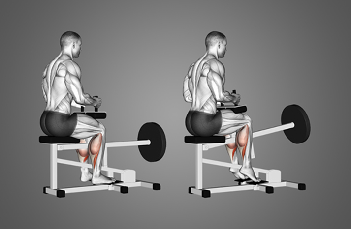 Seated Calf Raises