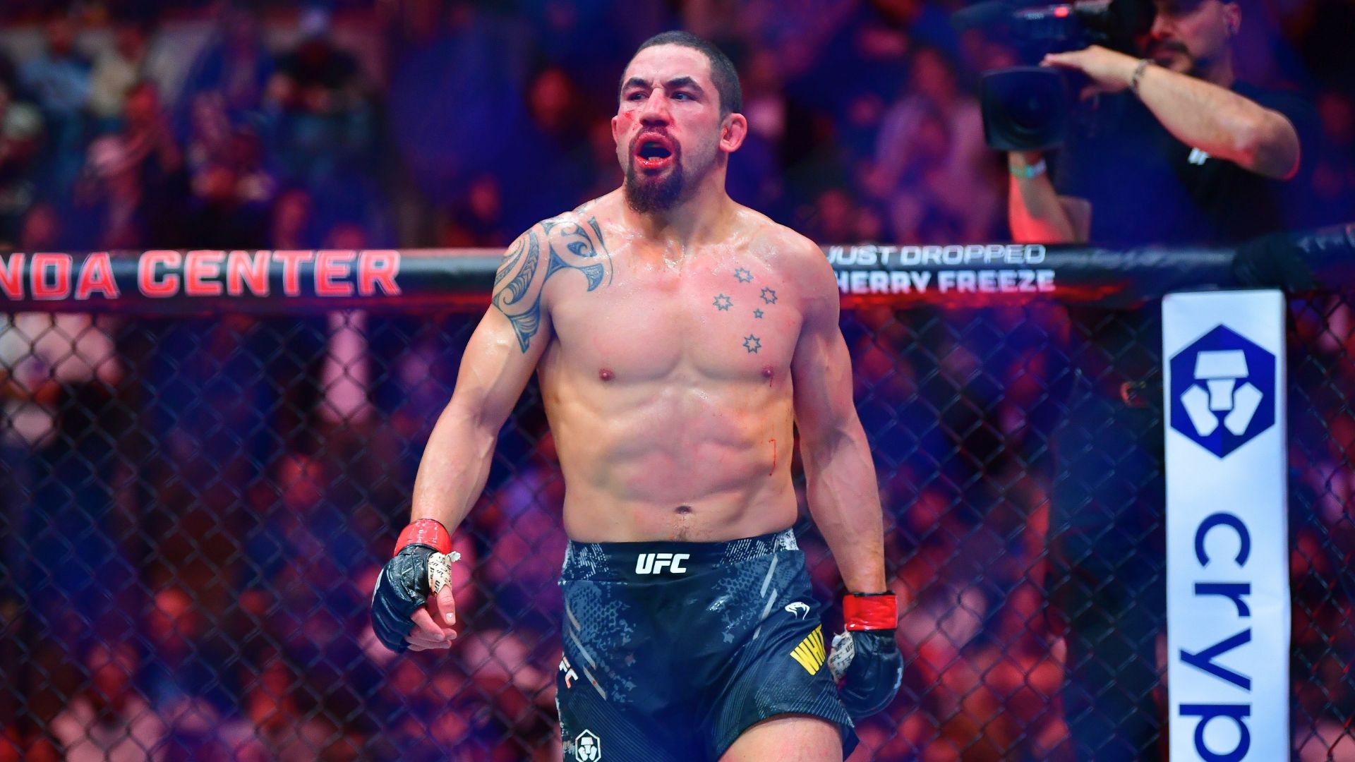 Robert Whittaker