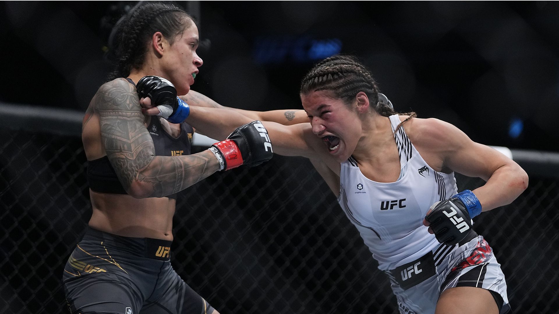 Julianna Pena vs. Amanda Nunes