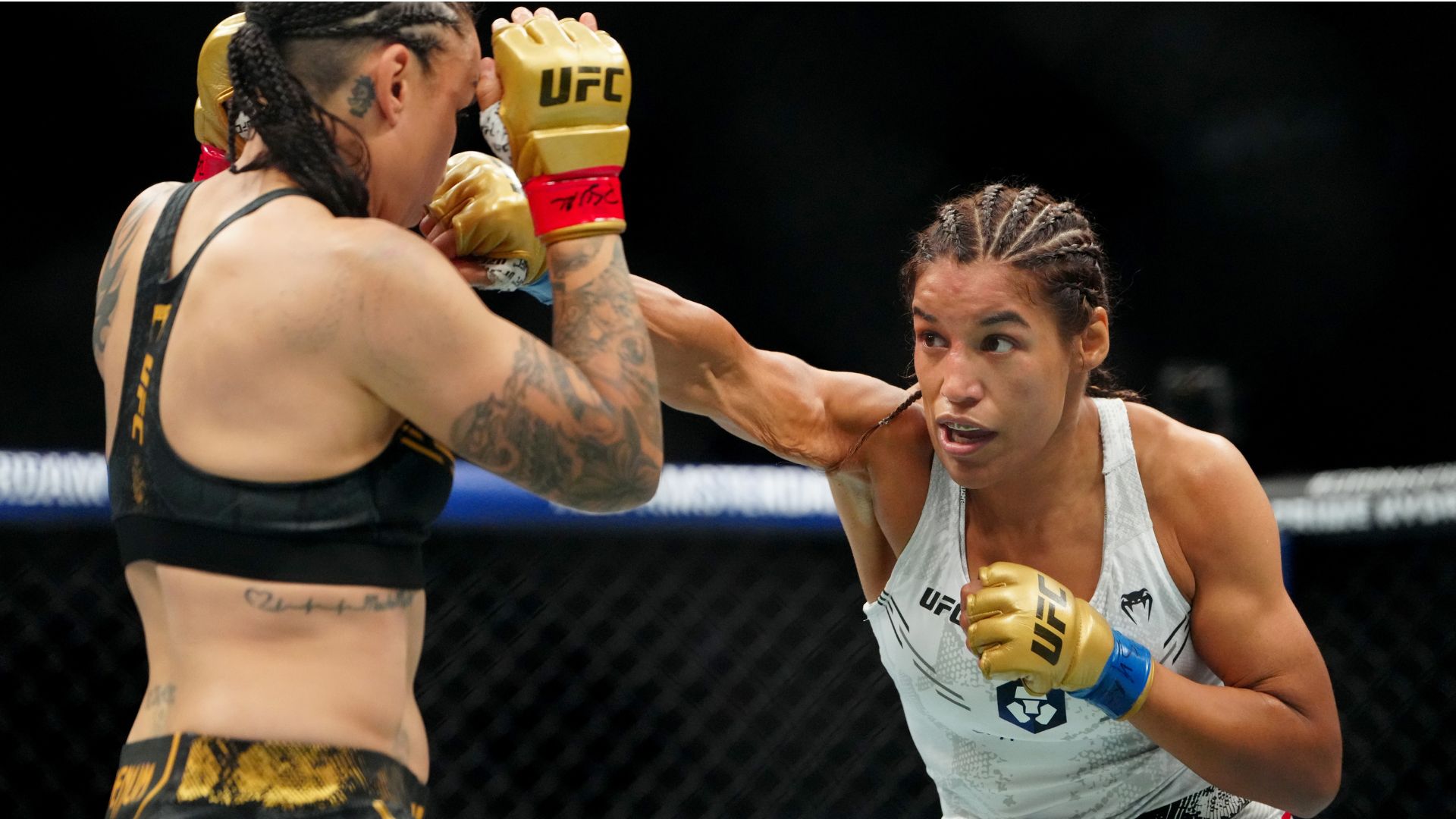 Julianna Pena vs. Raquel Pennington