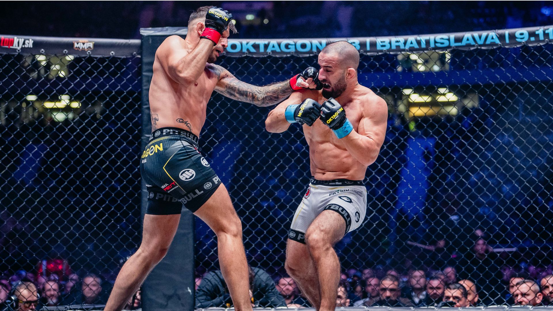 Max Coga vs. Antun Racic