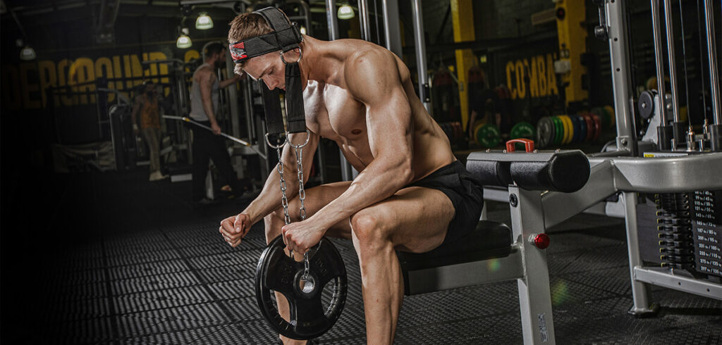 Head Harness Exercises