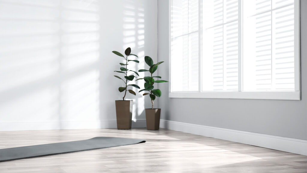 How to Train Like a Professional Athlete at Home: Tips and Workouts Professional Athlete