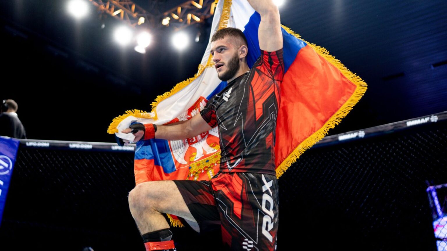 IMMAF Euros, Seniors Finals day