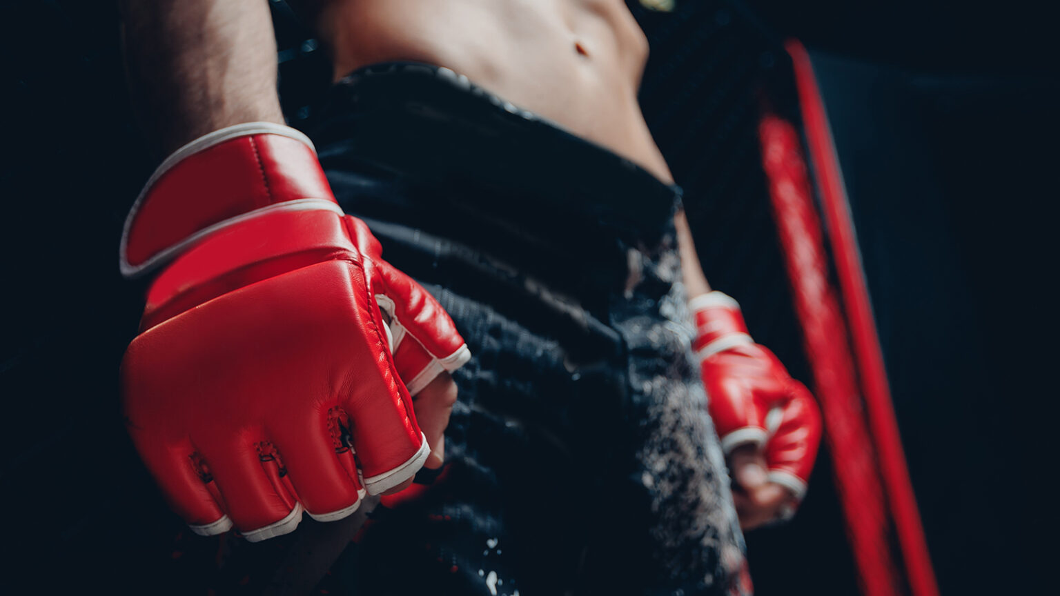 Combat Sports Myths