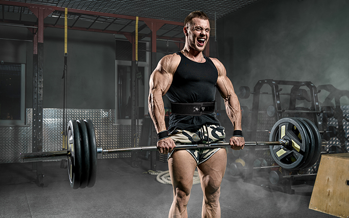 Key Training Principles for Muscle Gain