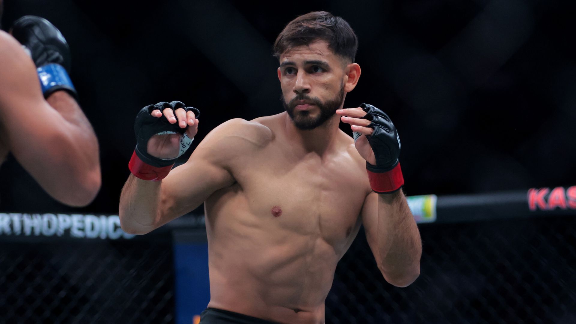 Yair Rodriguez