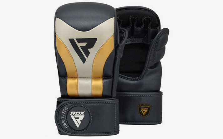 RDX T17 Aura Plus Boxing Gloves