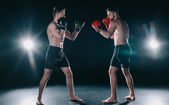 Incorporate Styles of fighting in Training