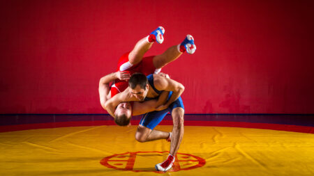 Beginners Guide to Suplex