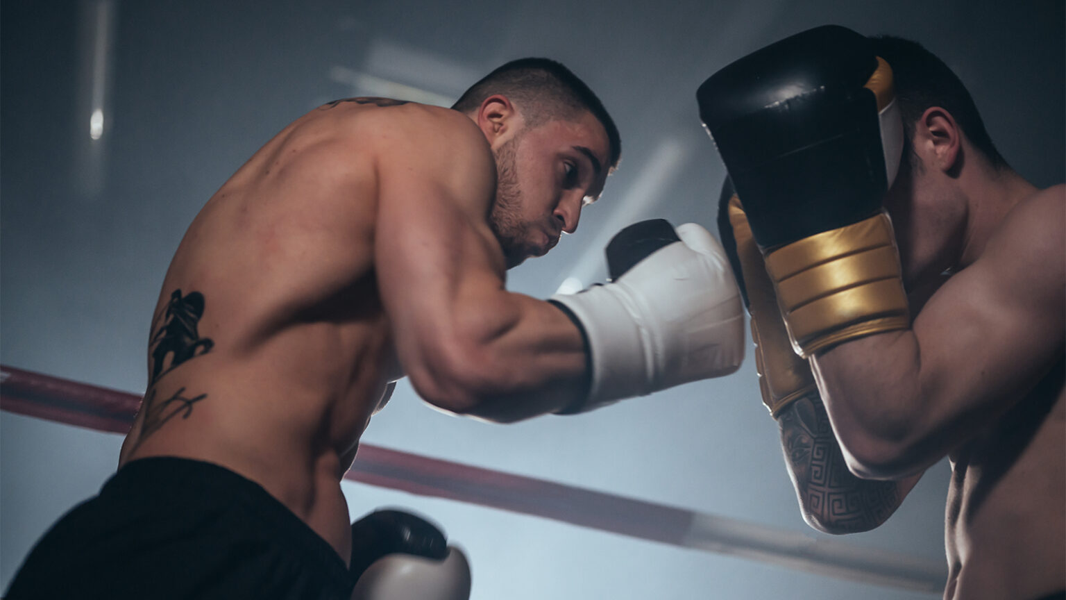 Pressure and Precision in Combat Sports: What Fighting Style Unleashes Your True Power? Pressure vs Precision in Combat Sports -Fighting Style