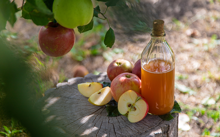 Apple Cider Vinegar in Moderation