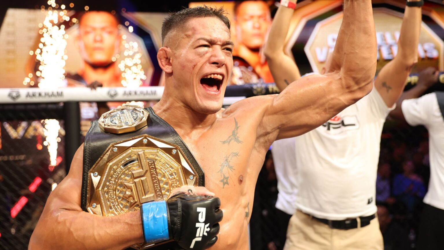 Costello van Steenis