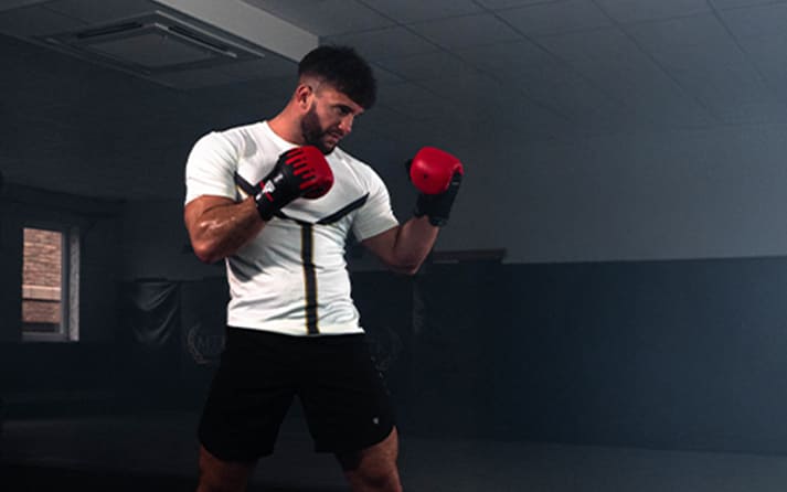 Criteria for Pound-for-Pound Rankings