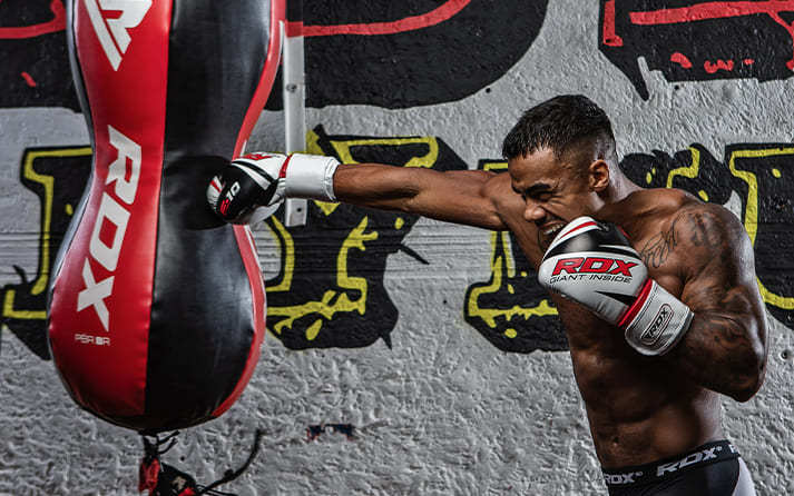 Famous Fighters Pound-for-Pound Rankings