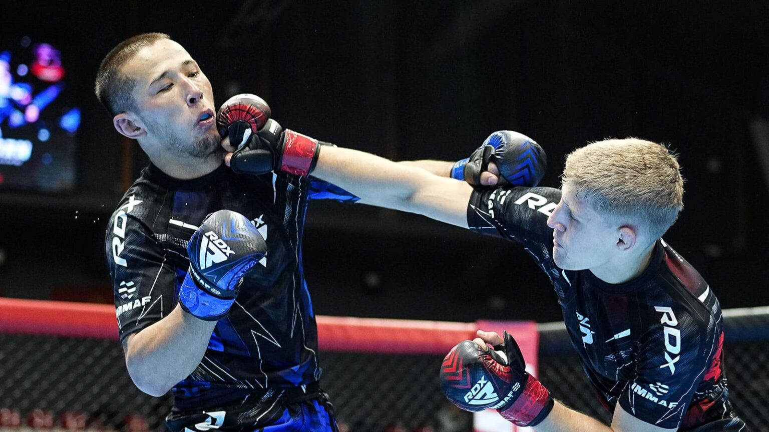 The Role of RDX Sports in Promoting Combat Sports in the UK RDX-Sports Promoting-Combat-Sports-in-the-UK