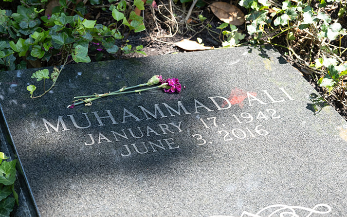 Top 5 Greatest Boxers of All Time