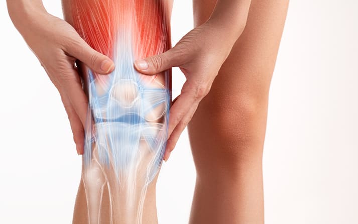 Understanding Knee Anatomy