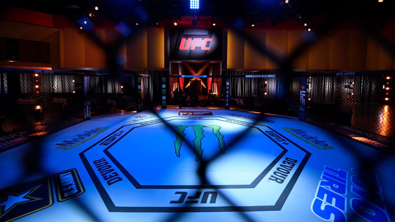 UFC Octagon general view