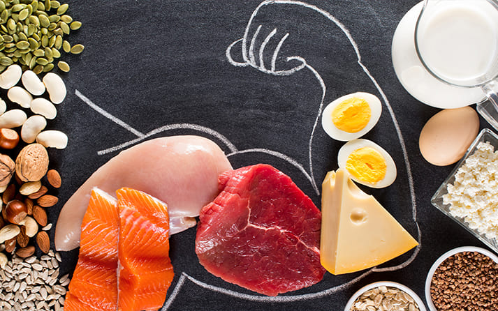 High-Protein Diet for Fighters