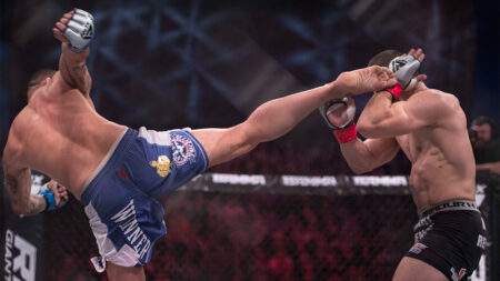 How to Throw a Roundhouse Kick? Beginner to Advanced Guide How to Do a Roundhouse Kick in Kickboxing