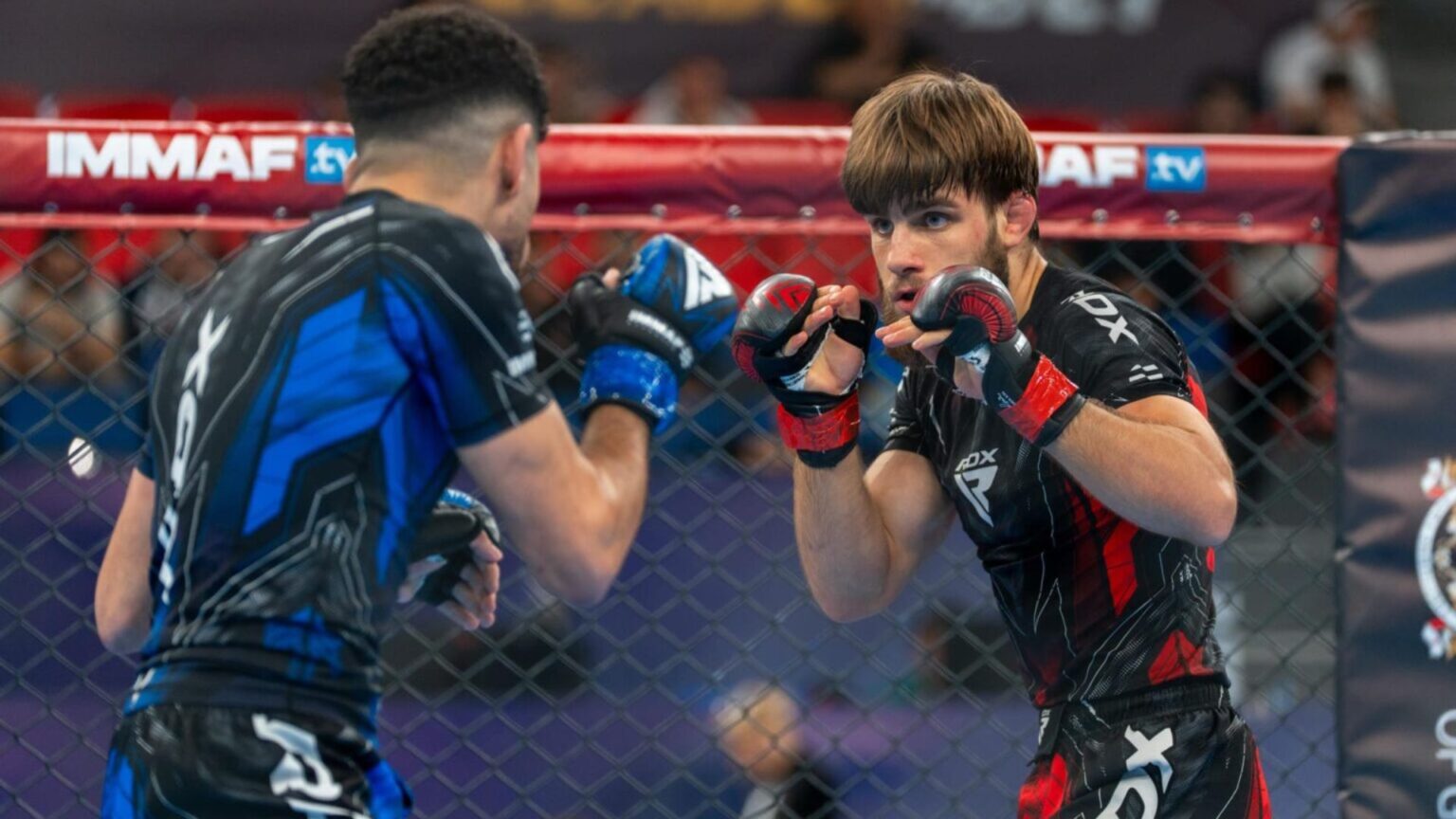 2025 IMMAF World Championships: Milan Nikolenko continues impressive form, Beka Shainidze shines for host nation Milan Nikolanko