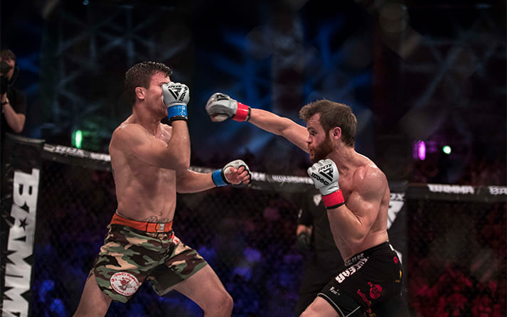 Rolling with the Punch 