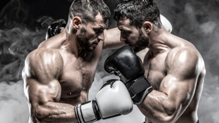 What Are the Different MMA Fighting Styles