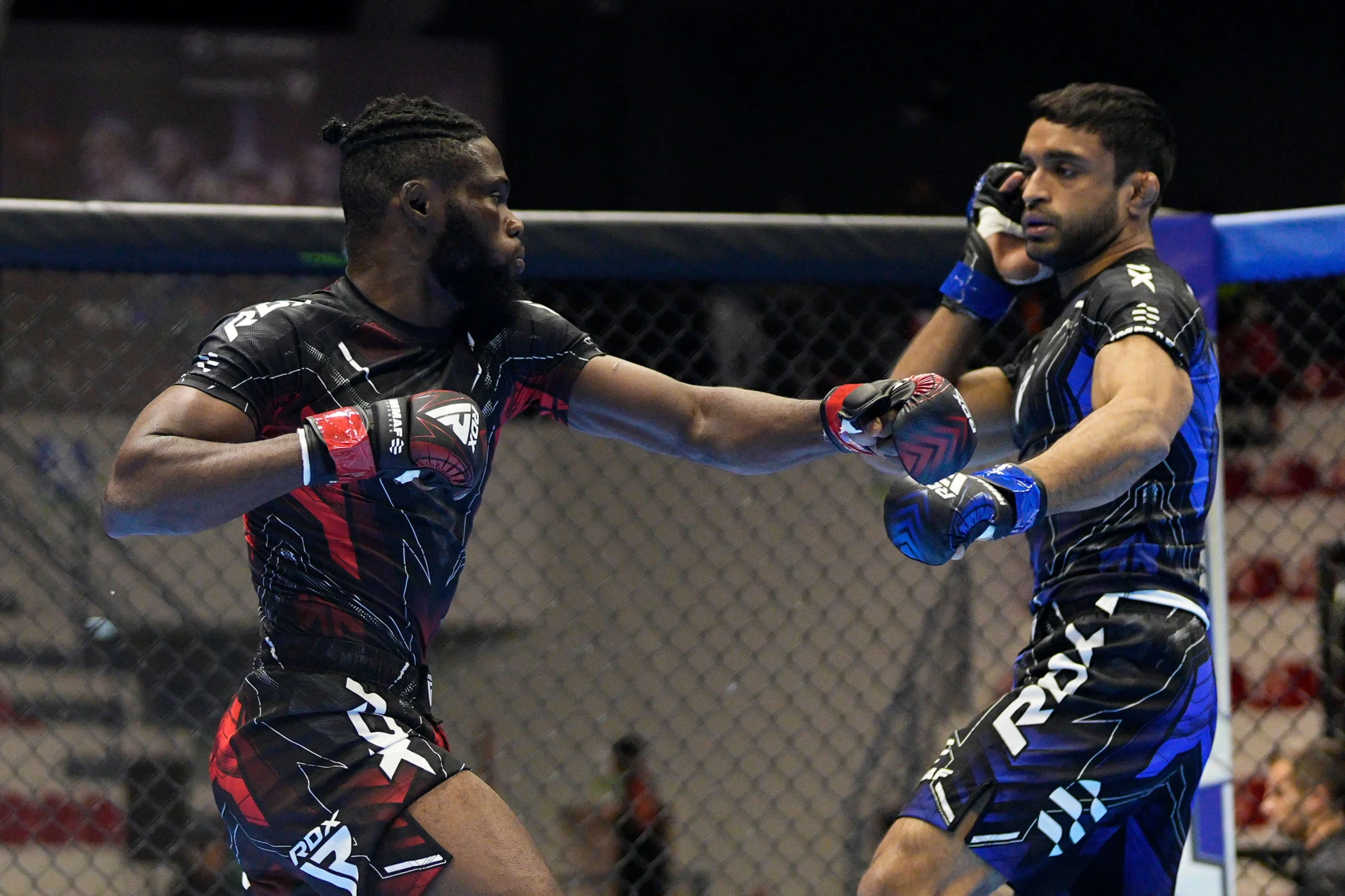 immaf experience georgia