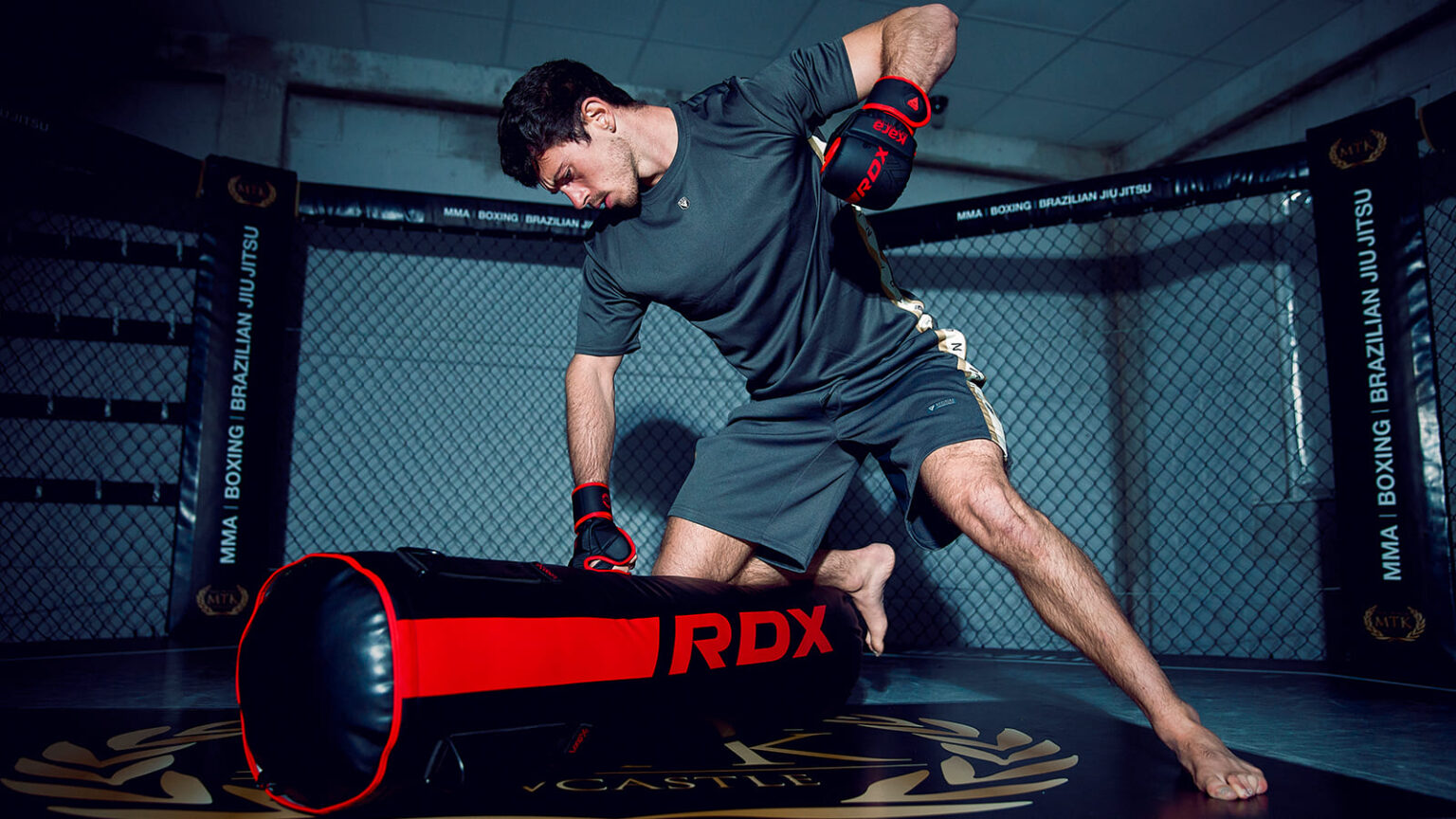 The Story of Punching Bags: History, Evolution, and Importance in Boxing