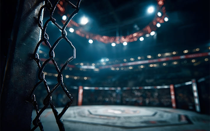 Psychology of the Octagon