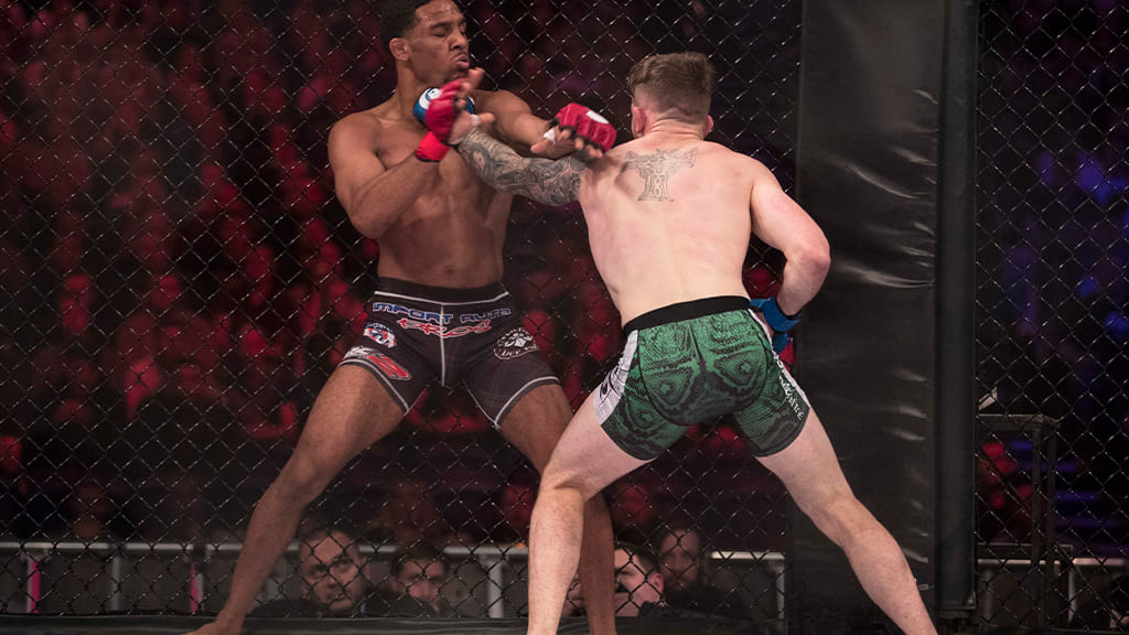 What Is MMA? What Are Its Disciplines? MMA and Its Disciplines