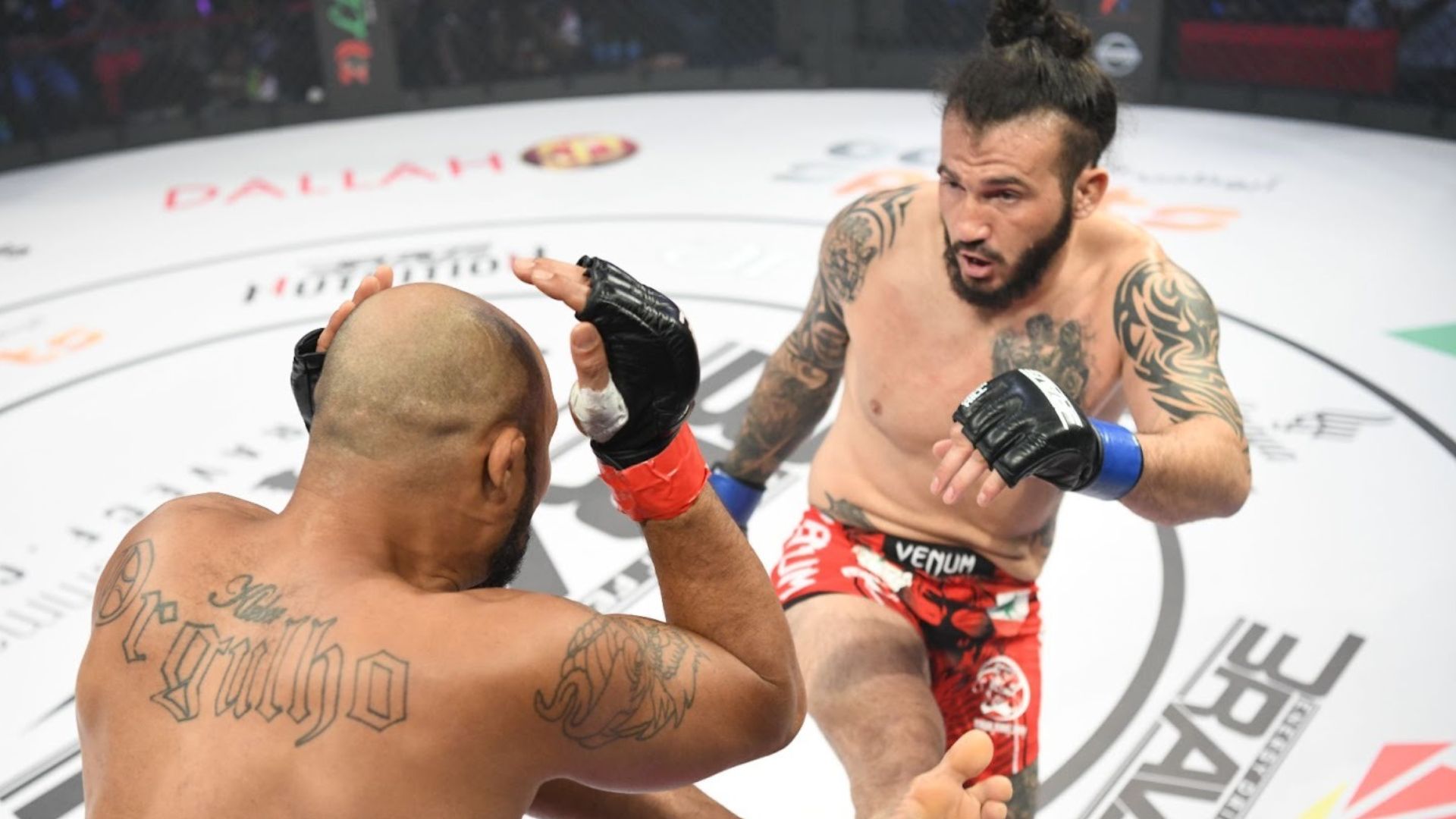 Mohammad Fakhreddine